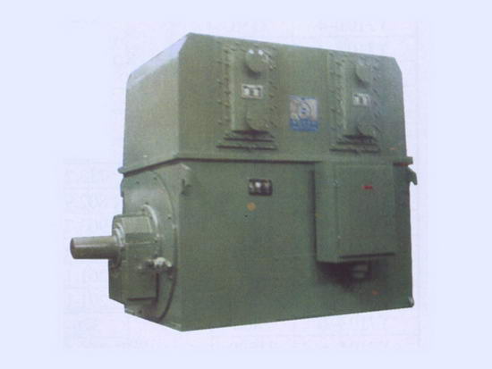 Y系列大型高壓三相異步電動機(jī)