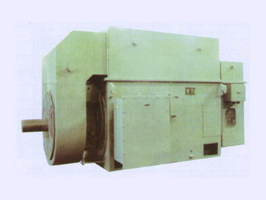 YRKK 系列大型高壓繞線轉(zhuǎn)子三相異步電動(dòng)機(jī)