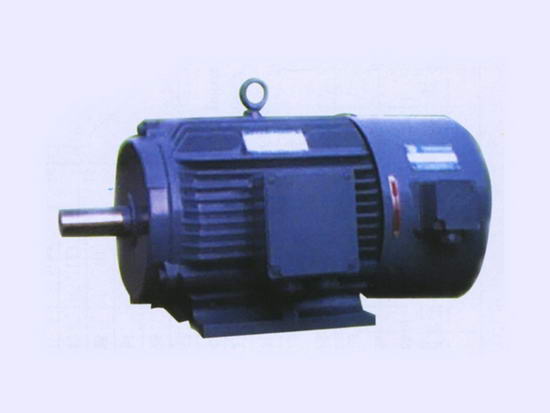 YTP系列變頻調(diào)速三相異步電動機