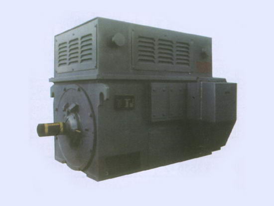 Y系列中型高壓三相異步電動(dòng)機(jī)